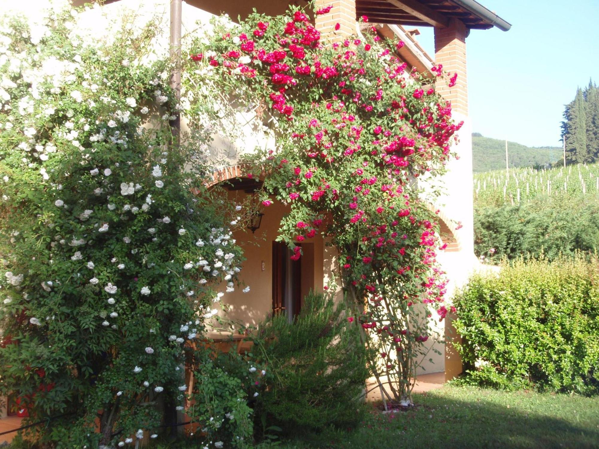 Villa Buonasera Agriturismo Греве-ин-Кьянти Экстерьер фото