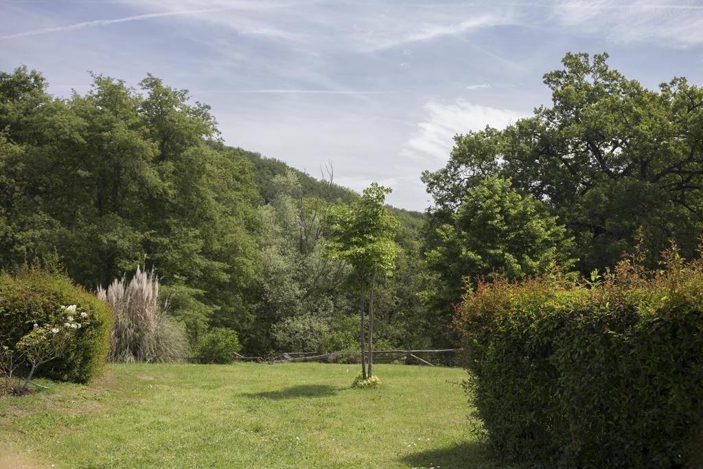 Villa Buonasera Agriturismo Греве-ин-Кьянти Экстерьер фото